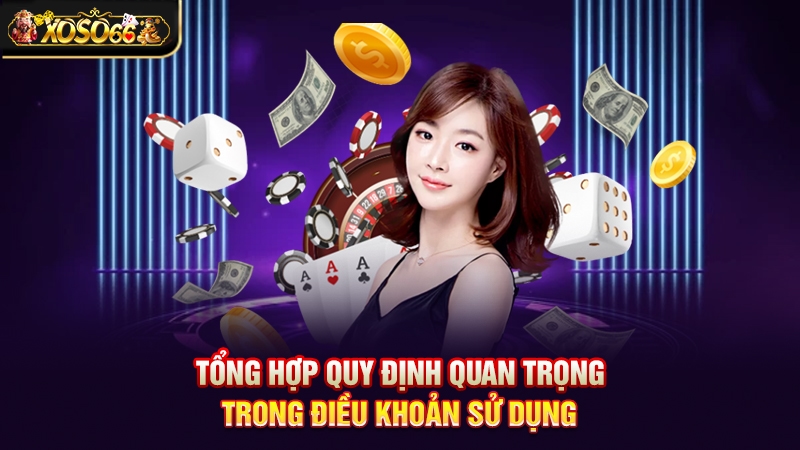 điều khoản sử dụng
